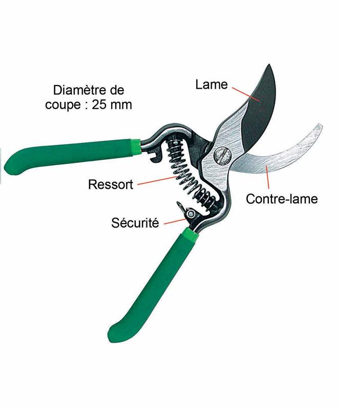 loquet sécurité avec schéma détaillé